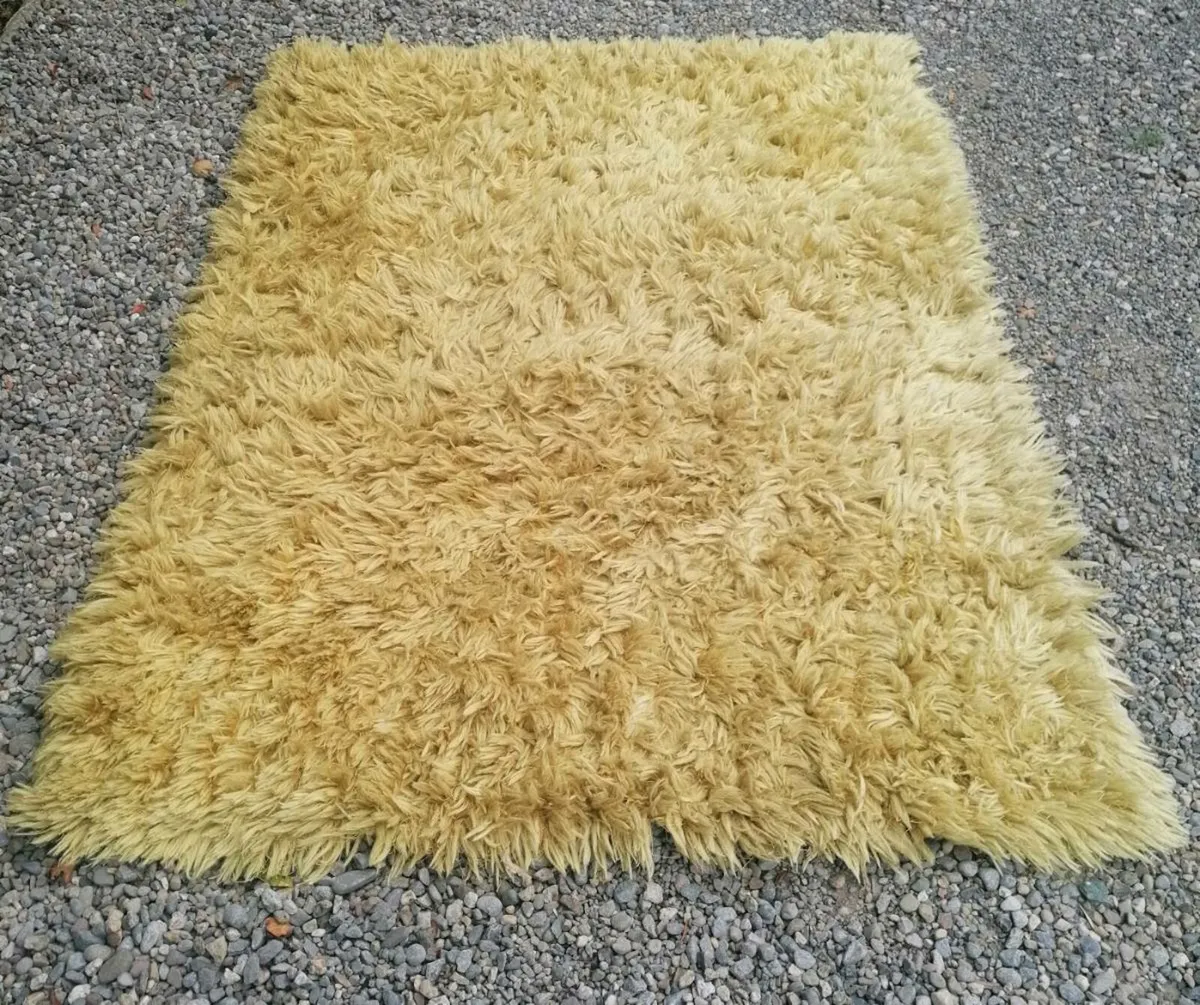 Lovely Rug - Image 1
