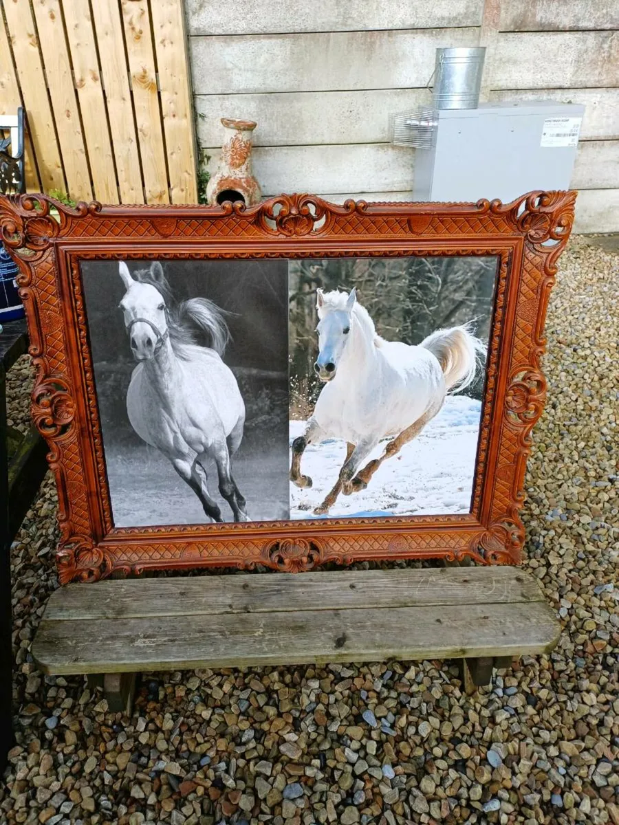 Collection of Vintage Equestrian Pictures - Image 2