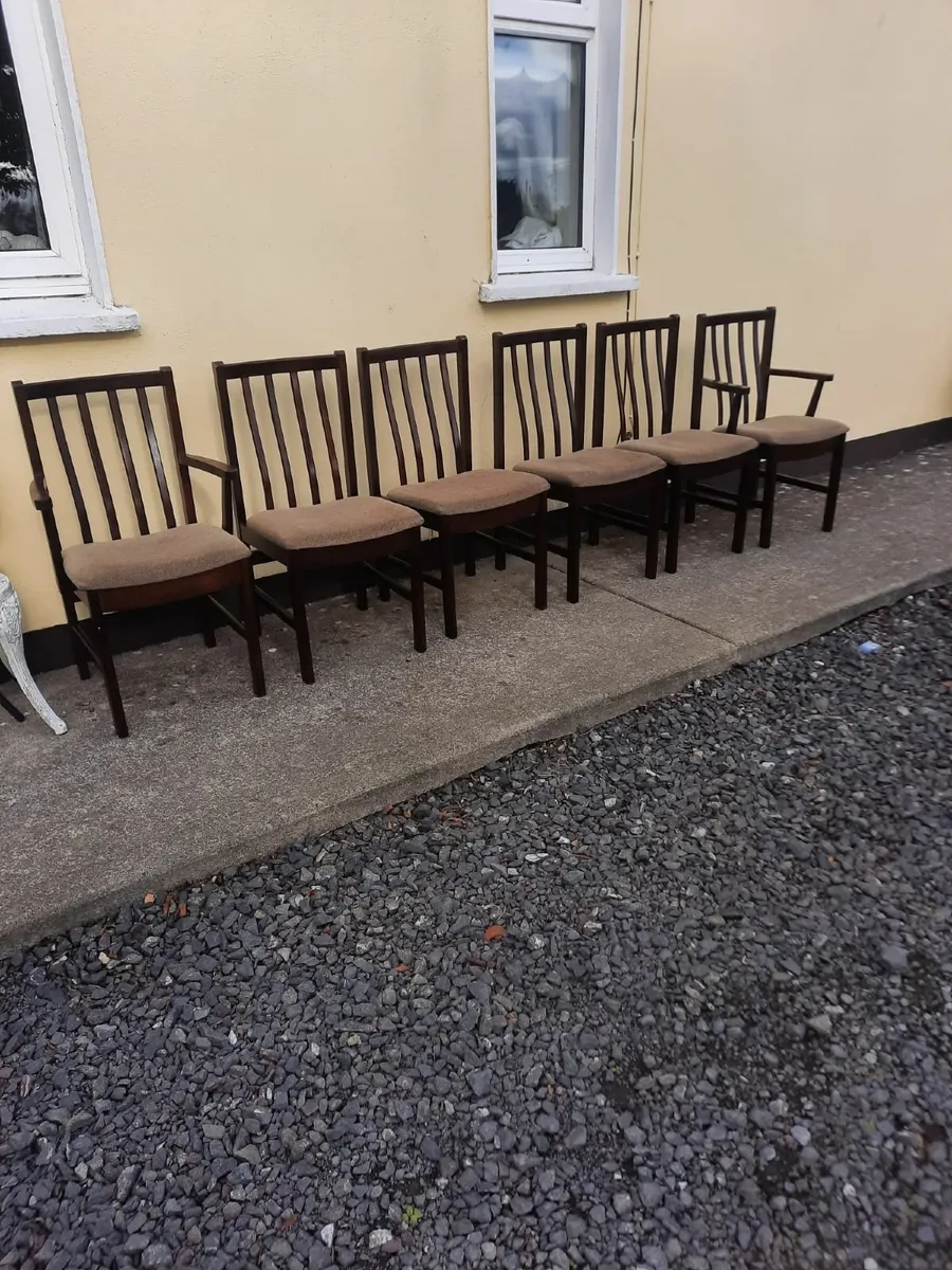 Kitchen chairs - Image 1