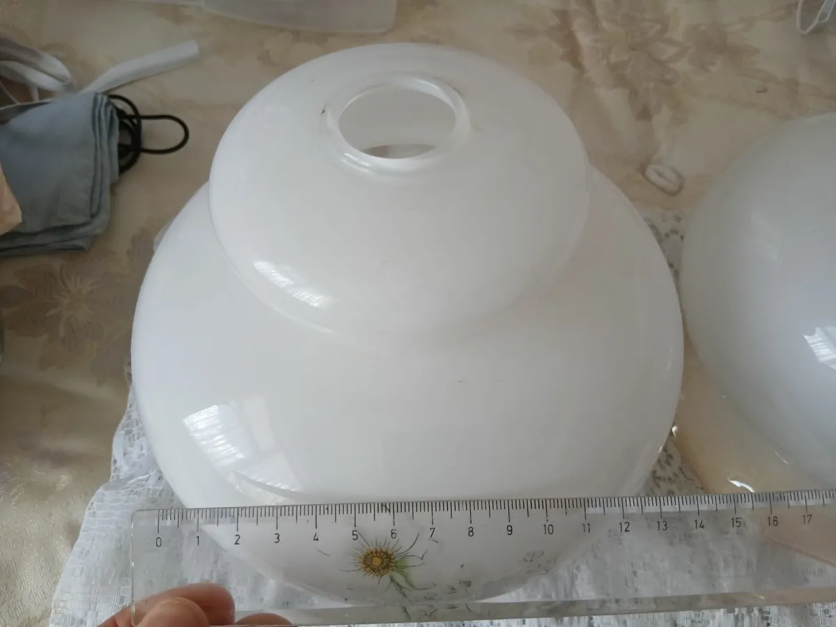 Glass Antique Lampshades - Image 2
