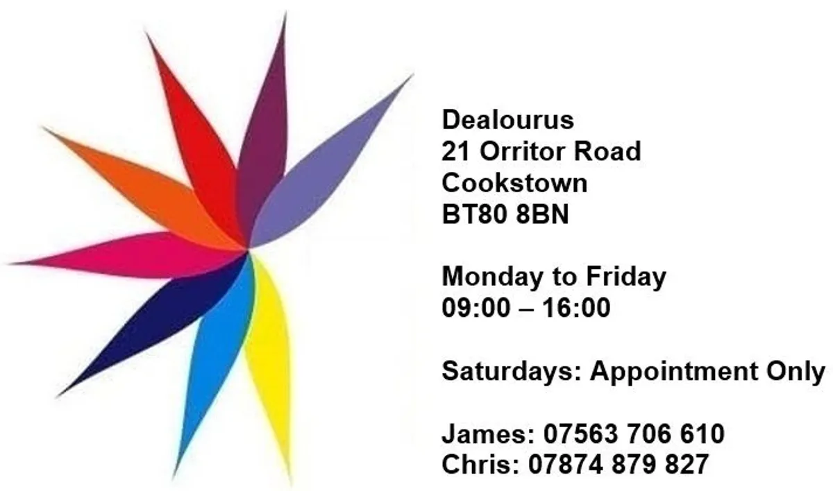 NEW - 75cc Petrol Backpack Leaf Blower - Image 2