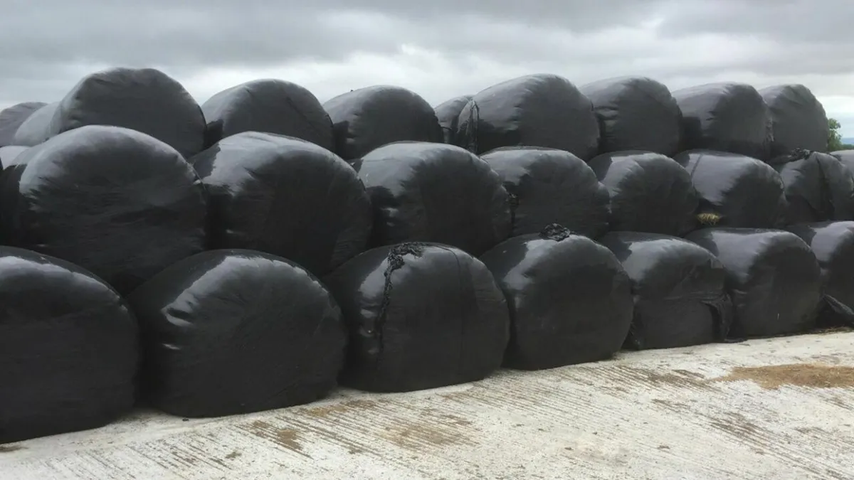Silage bales
