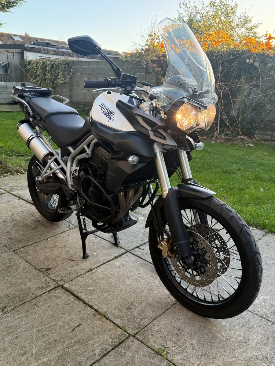2011 triumph tiger - Image 1