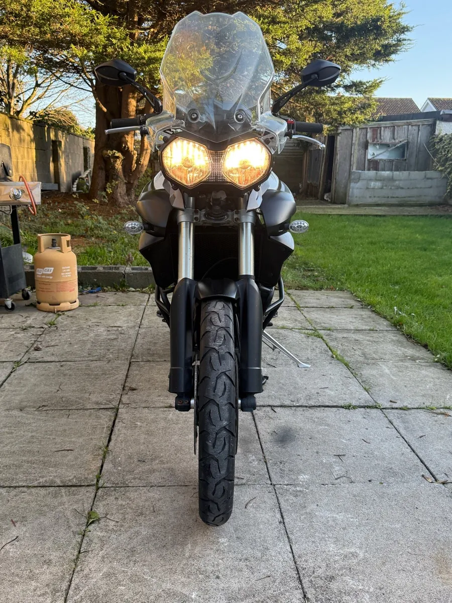 2011 triumph tiger - Image 4