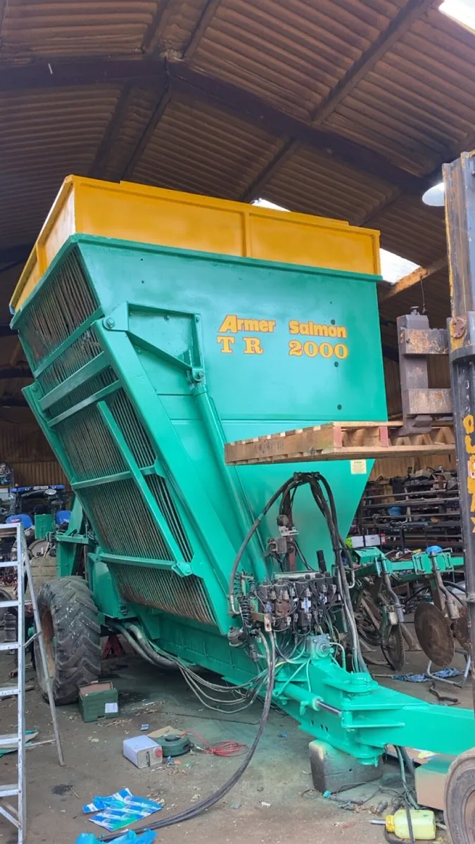 Magnum fodder beet - Image 3