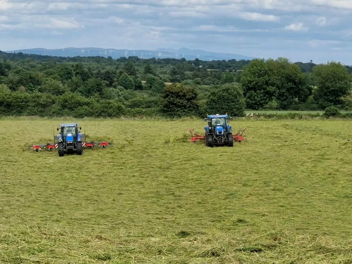 Hay, haylage, Silage,  Straw, Beet - Image 3
