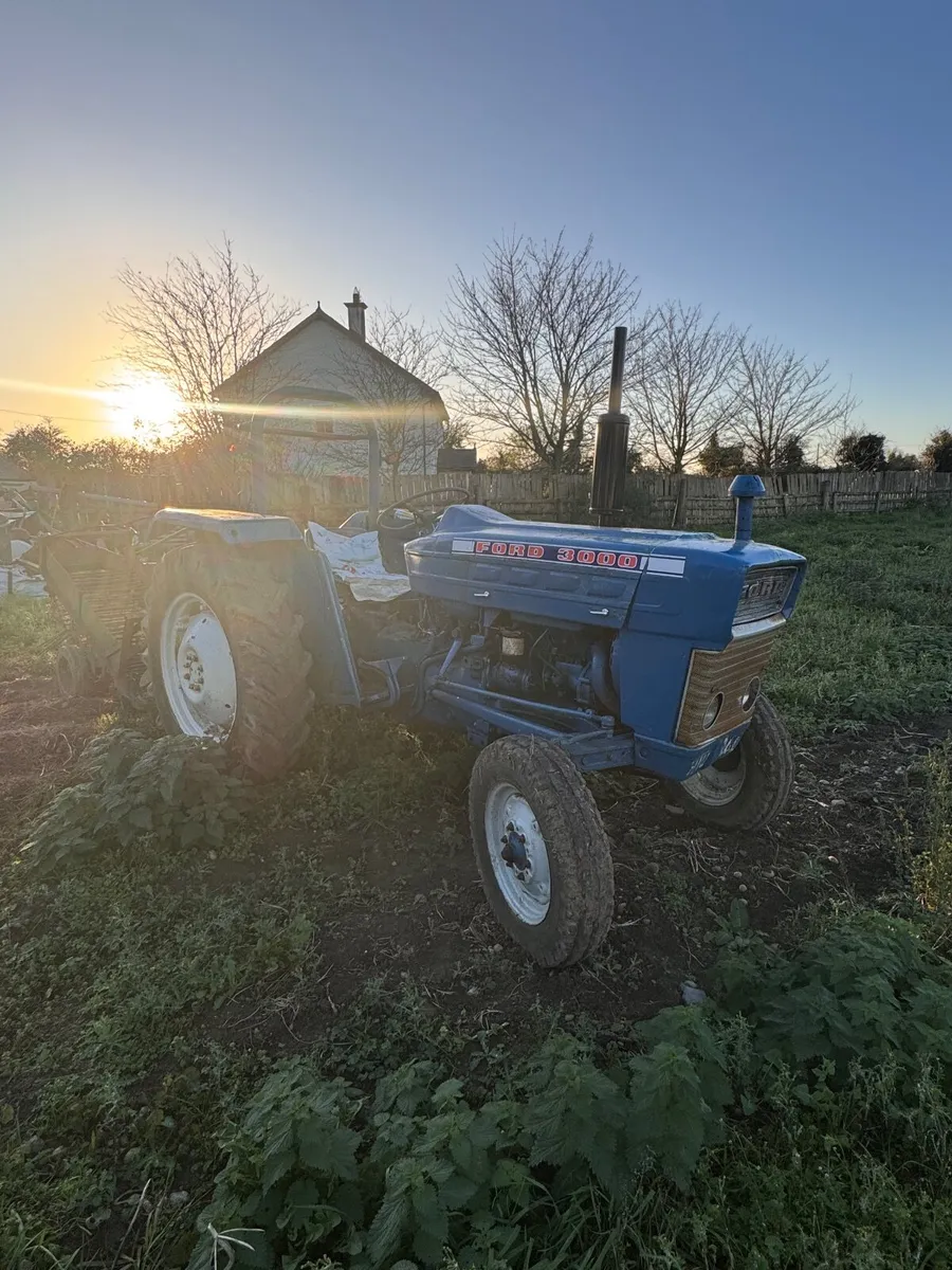 Ford 3000 Tractor and potato digger - Image 1