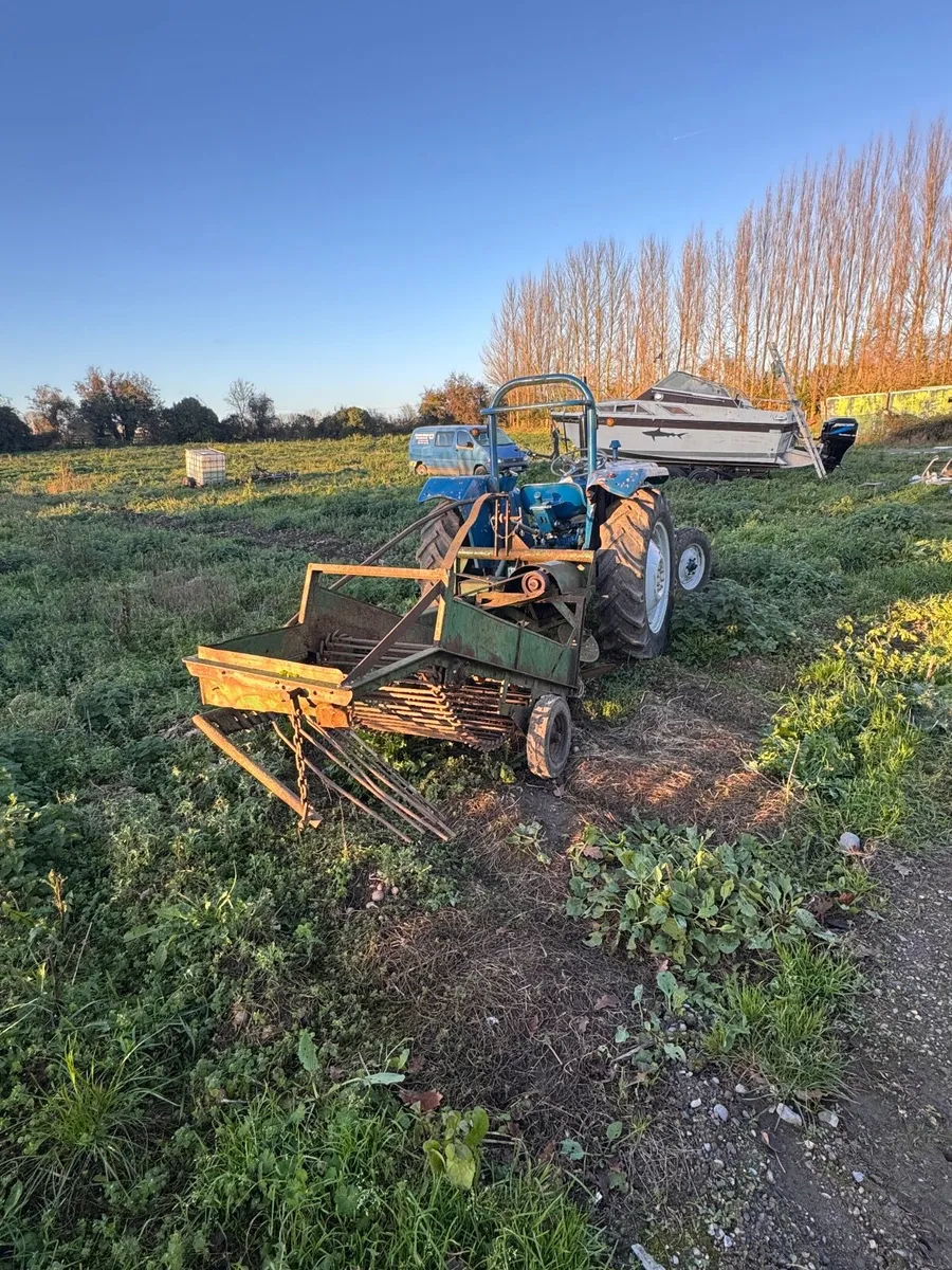 Ford 3000 Tractor and potato digger - Image 3