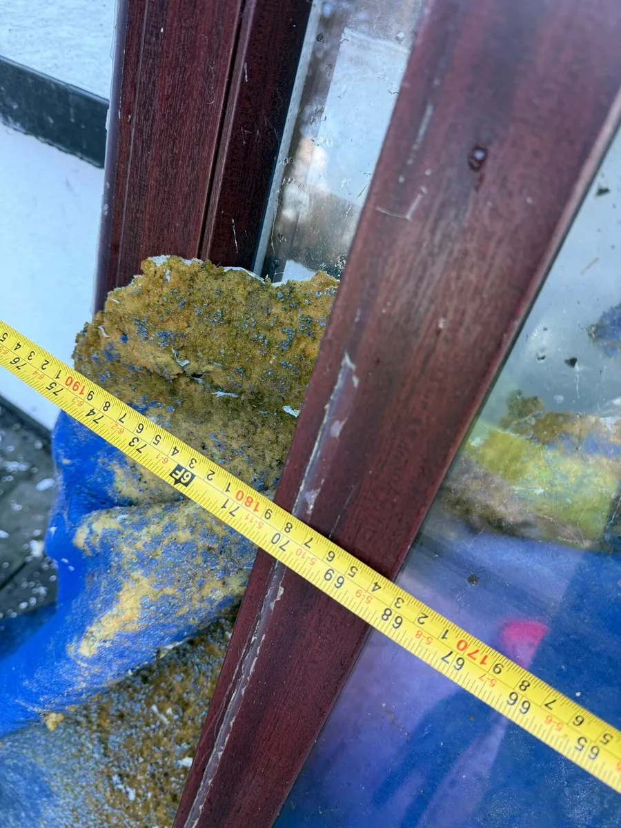 Windows for Free pick up only - Image 4