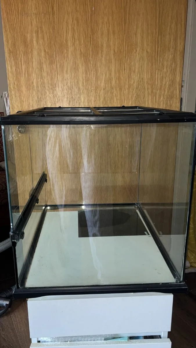 Leopard Gecko, Enclosure and More - Image 2