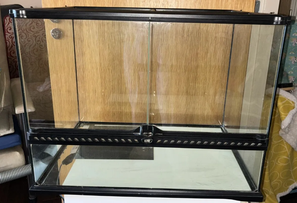 Leopard Gecko, Enclosure and More - Image 3