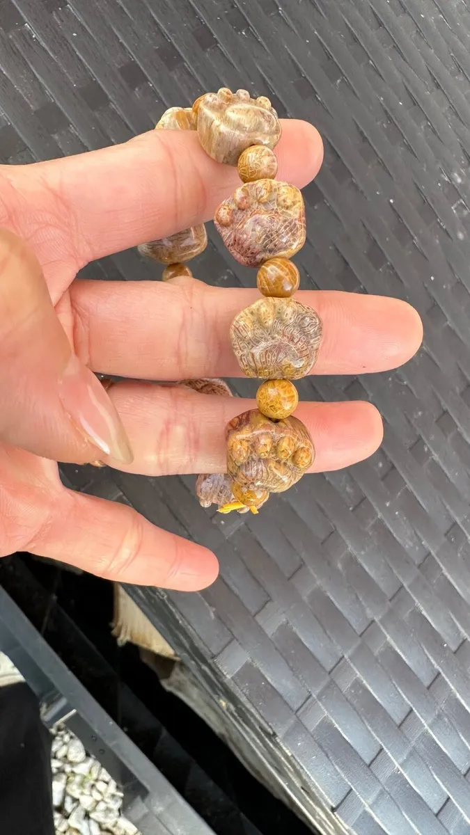Paw carved - Natural fossil coral bracelet - Image 3