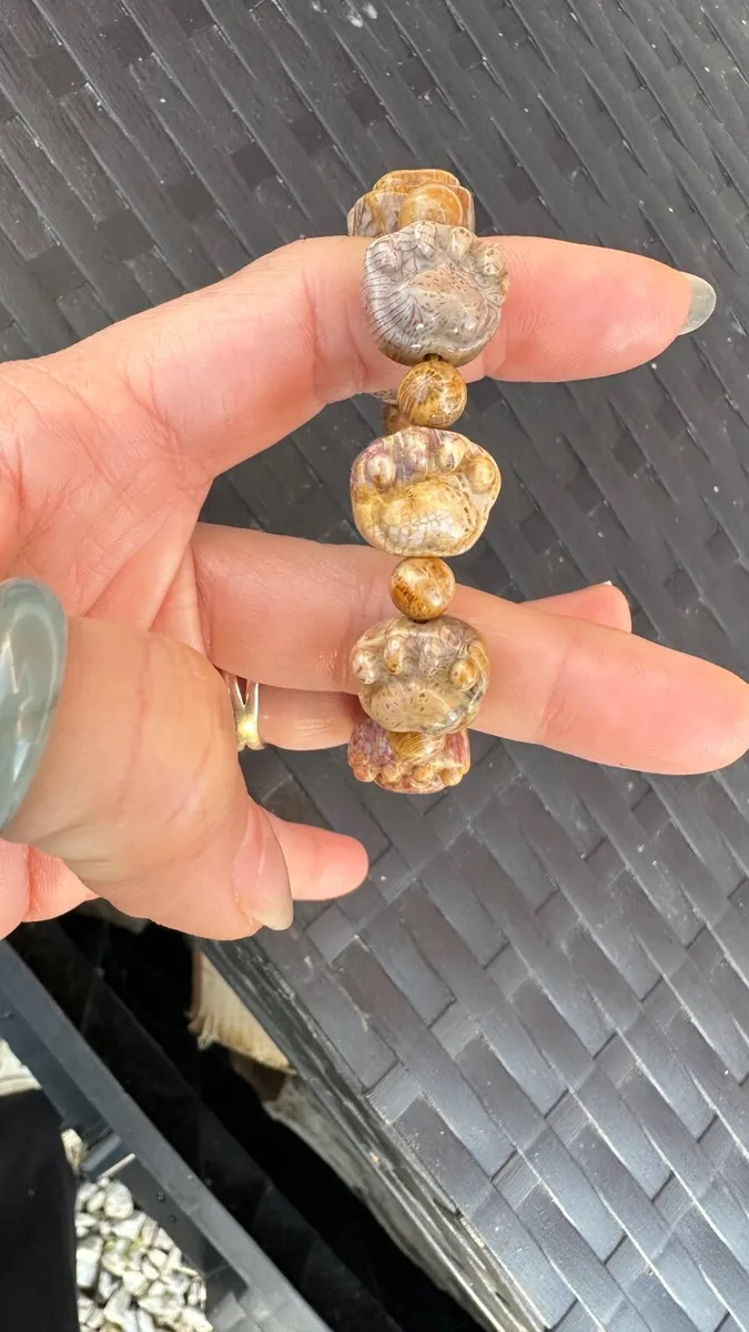 Paw carved - Natural fossil coral bracelet - Image 4