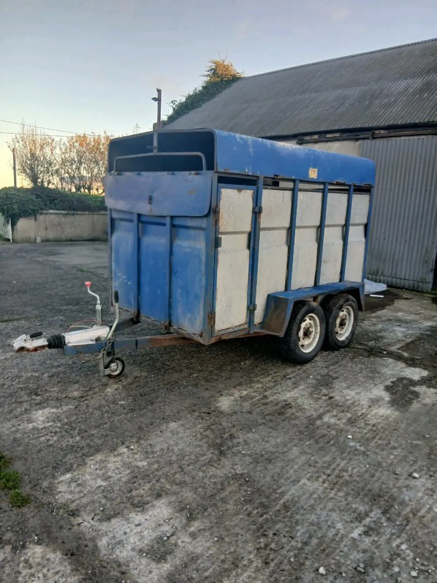 Cattle trailor - Image 1