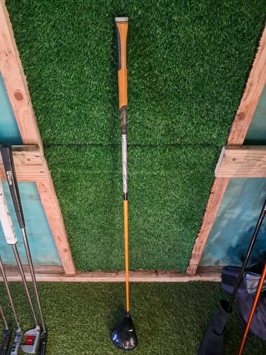 Beginner Driver - Image 4