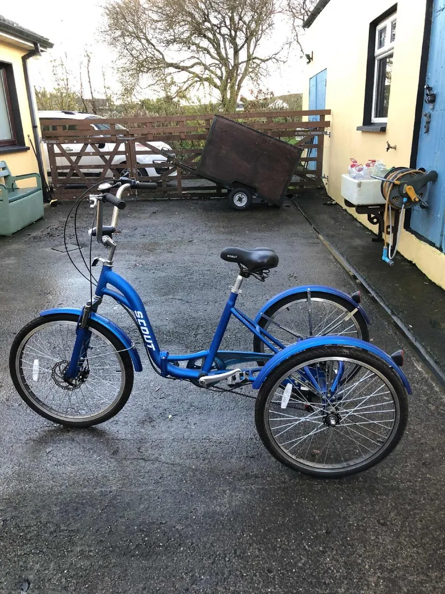 3 wheeler bike adults - Image 1