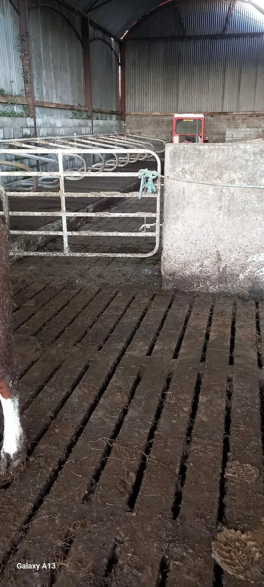 Slatted shed for winter months - Image 2