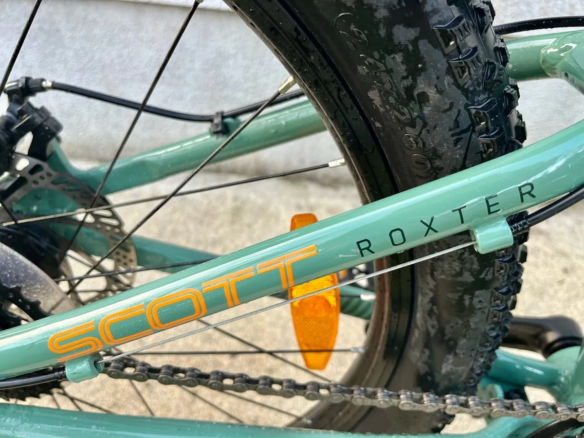 Scott Roxter Child’s bike - Image 2