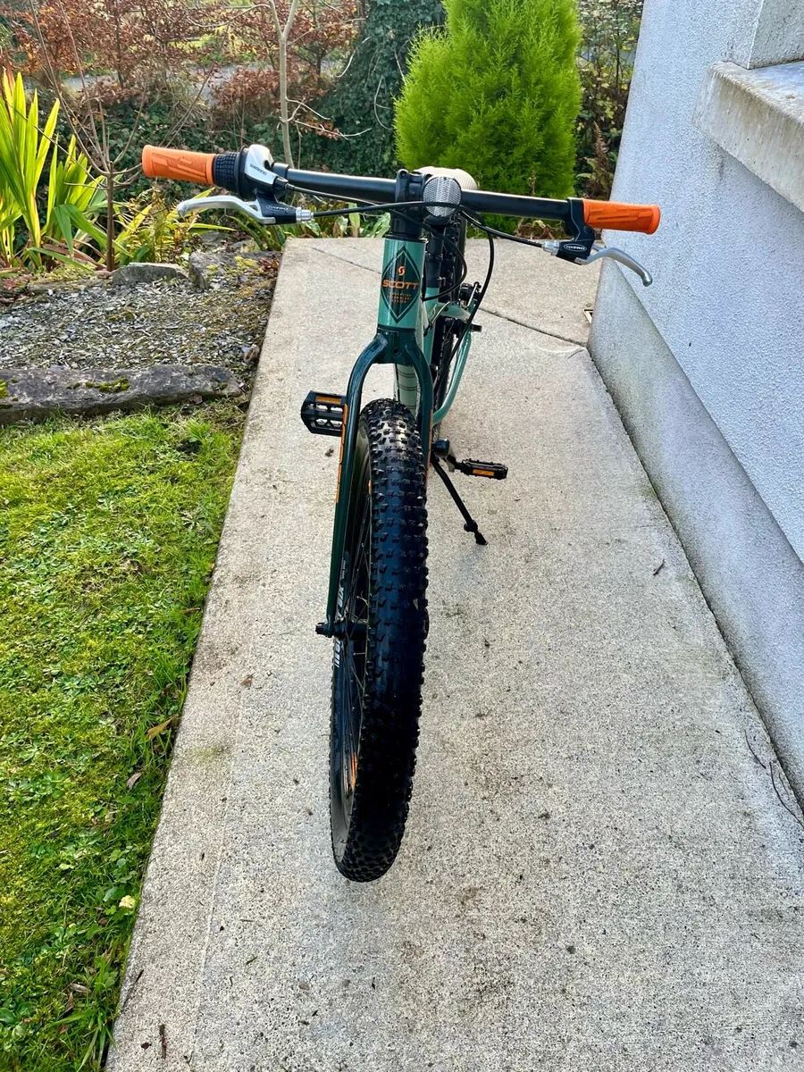 Scott Roxter Child’s bike - Image 3