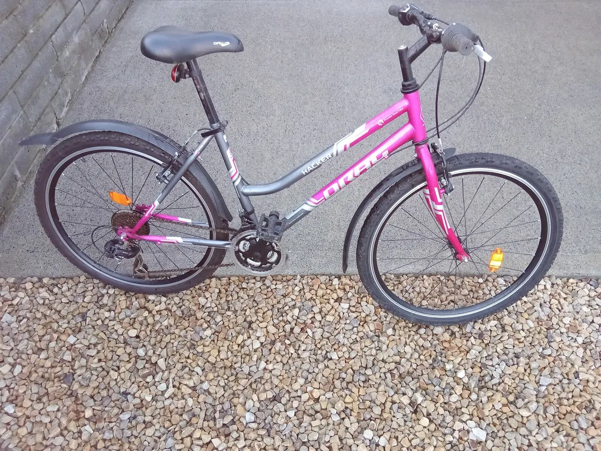 ADULTS BIKE - Image 1