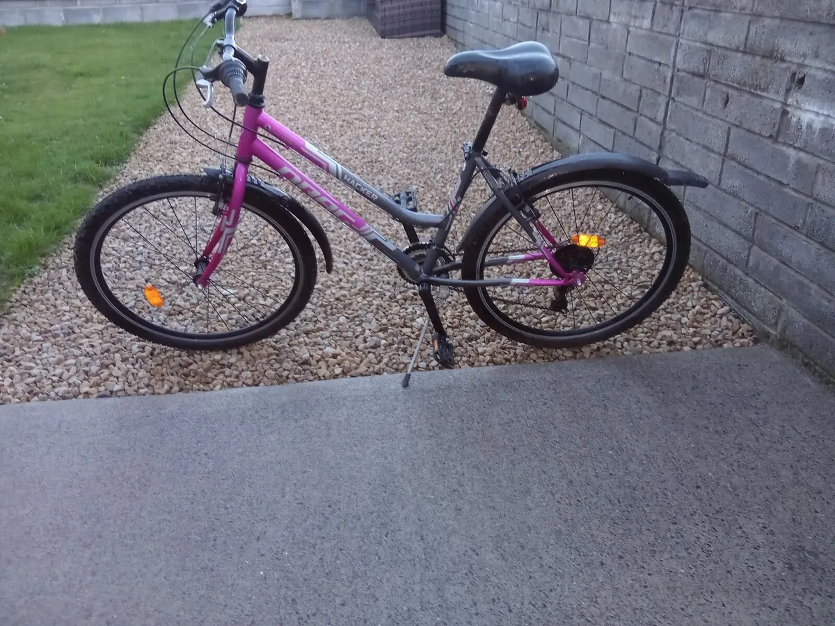 ADULTS BIKE - Image 2