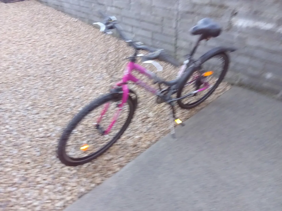 ADULTS BIKE - Image 3