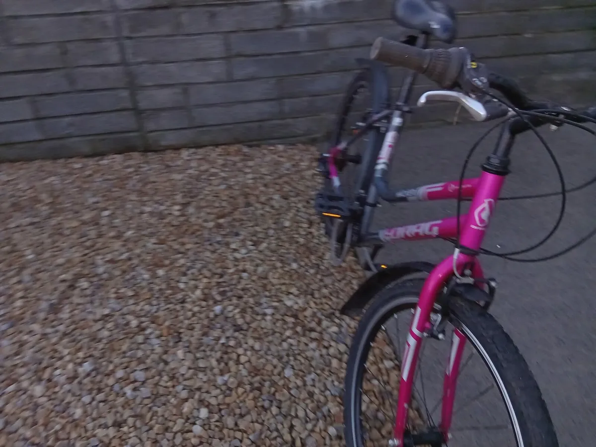 ADULTS BIKE - Image 4