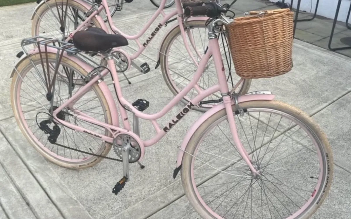 Raleigh Willow Ladies Vintage Bike - Image 1