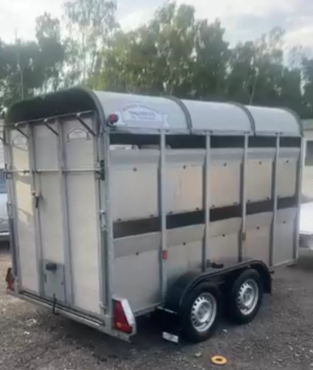 Graham Edwards Cattle Trailer 5x8 - Image 2