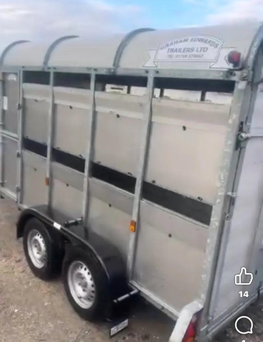 Graham Edwards Cattle Trailer 5x8 - Image 3