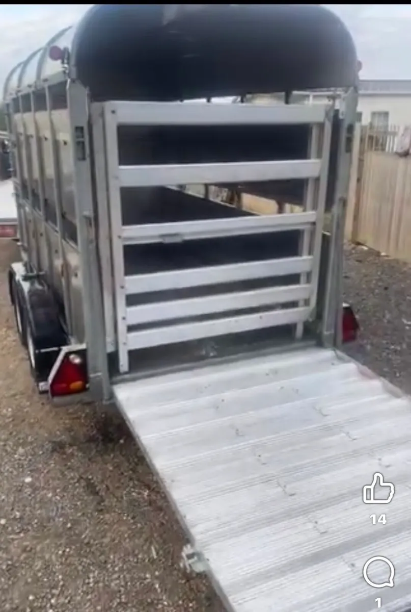 Graham Edwards Cattle Trailer 5x8 - Image 4