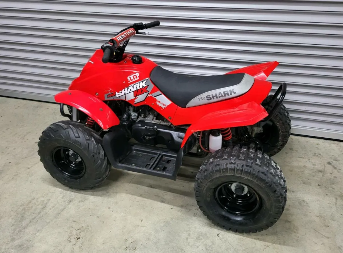 QuadZilla Pro Shark 100cc - Image 1