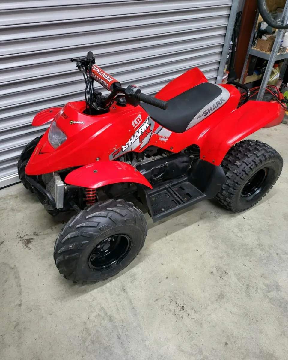 QuadZilla Pro Shark 100cc - Image 3