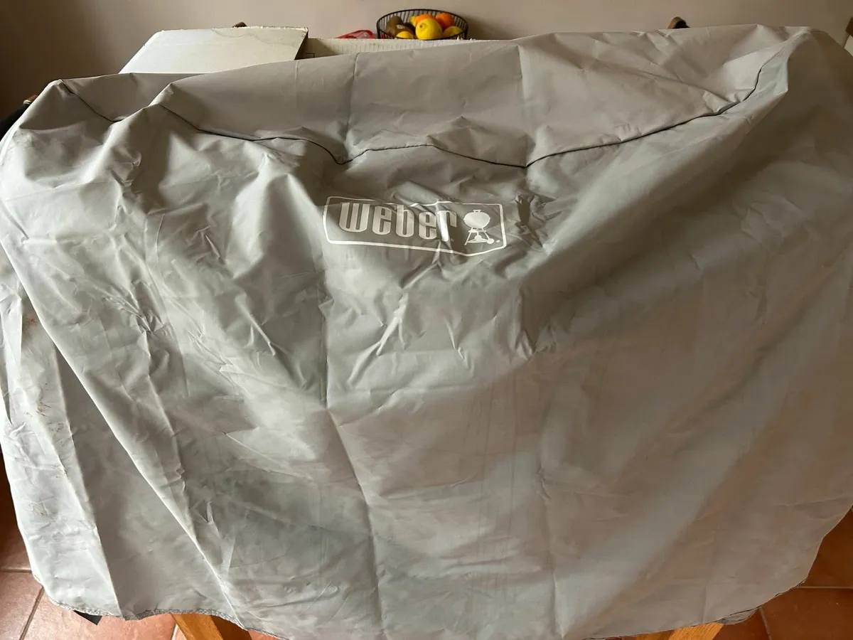 Weber Q 2000 Gas Barbecue with Stand & Cover - Image 2