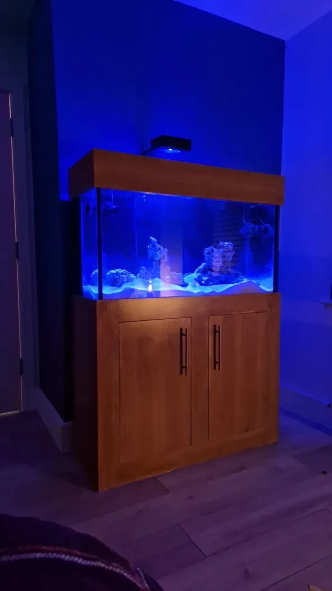 Fish tank - Image 1