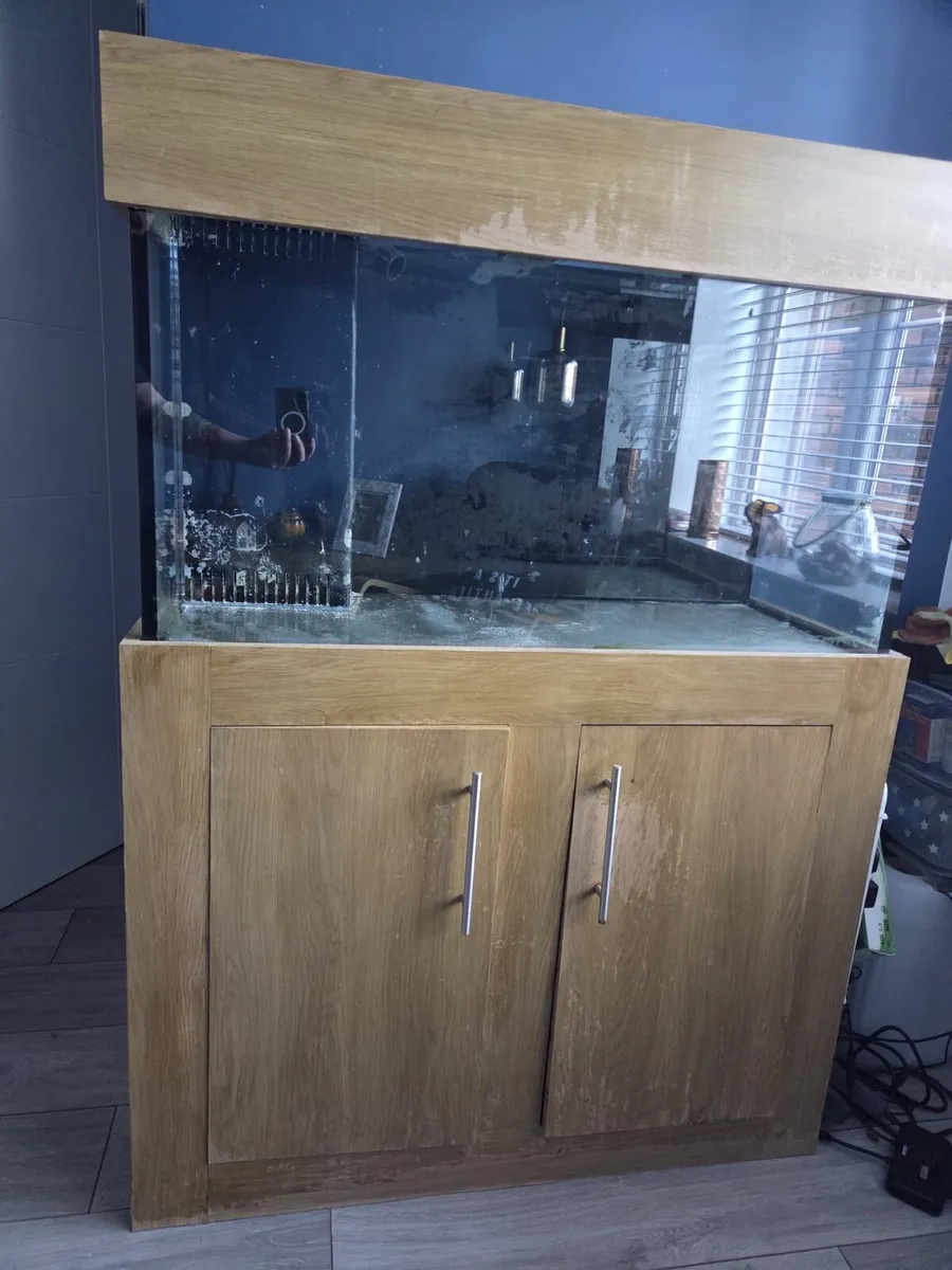 Fish tank - Image 3
