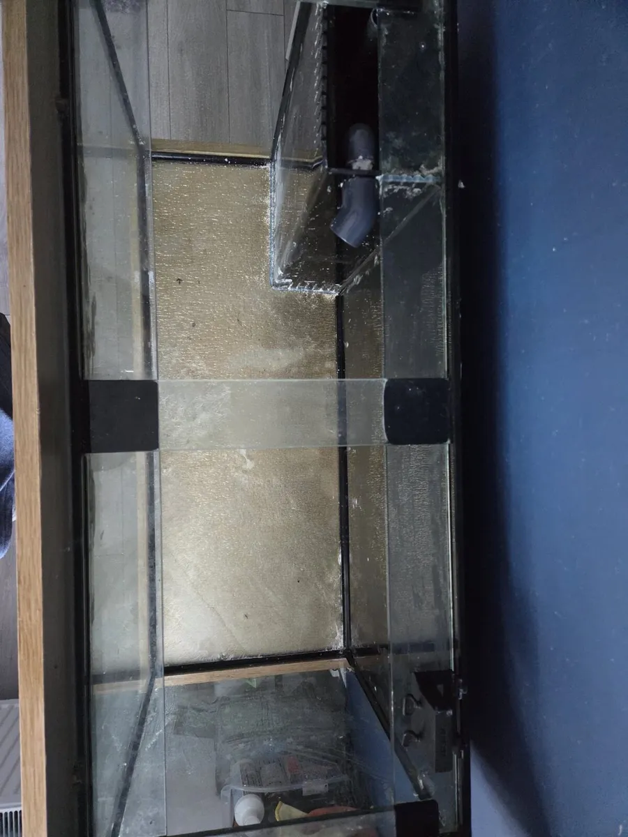 Fish tank - Image 4