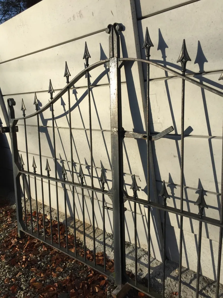 Steel front gates - Image 1