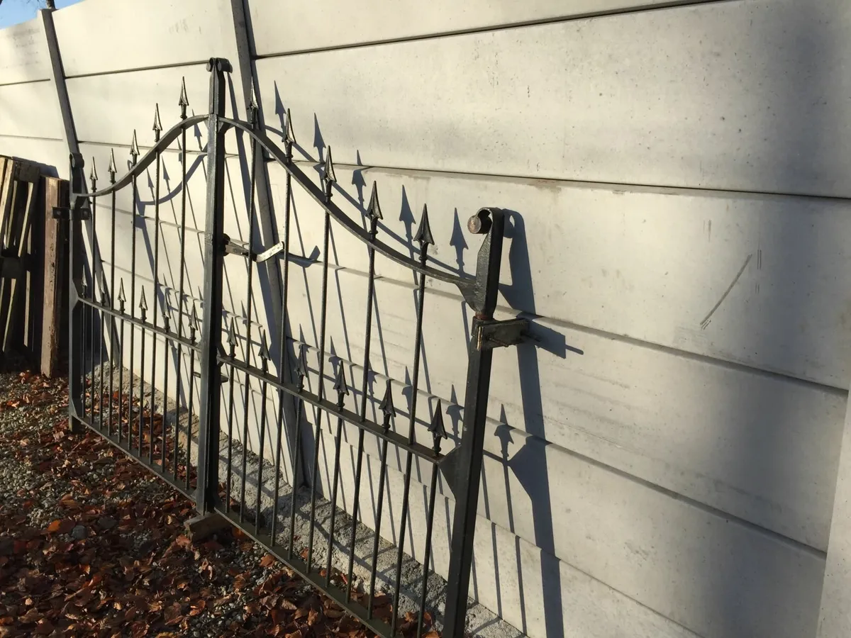 Steel front gates - Image 2