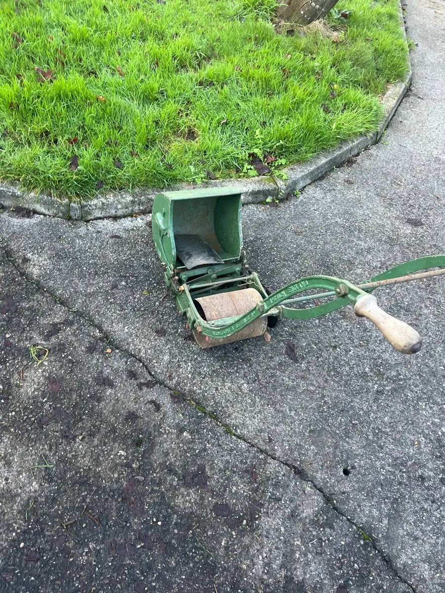 Ramson lawnmower - Image 4