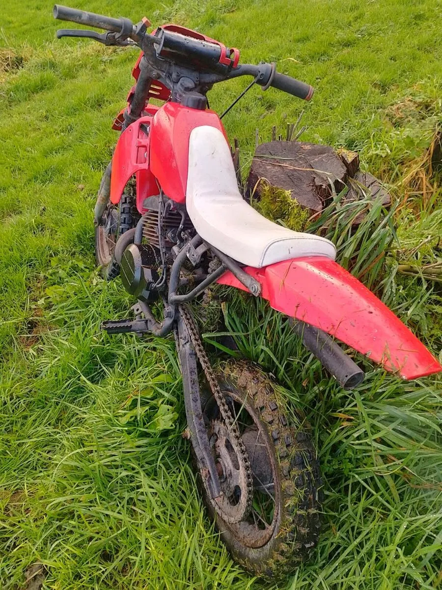 Kids child morini motorbike petrol - Image 2