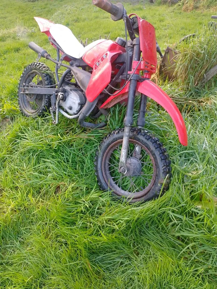 Kids child morini motorbike petrol - Image 4