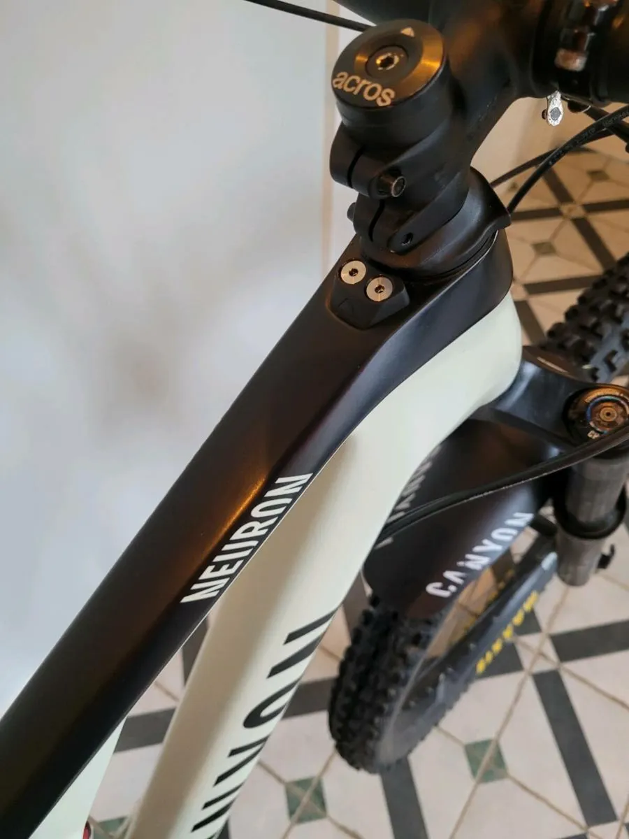 Canyon Neuron Cf - Image 2