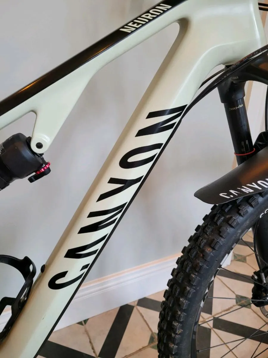 Canyon Neuron Cf - Image 3