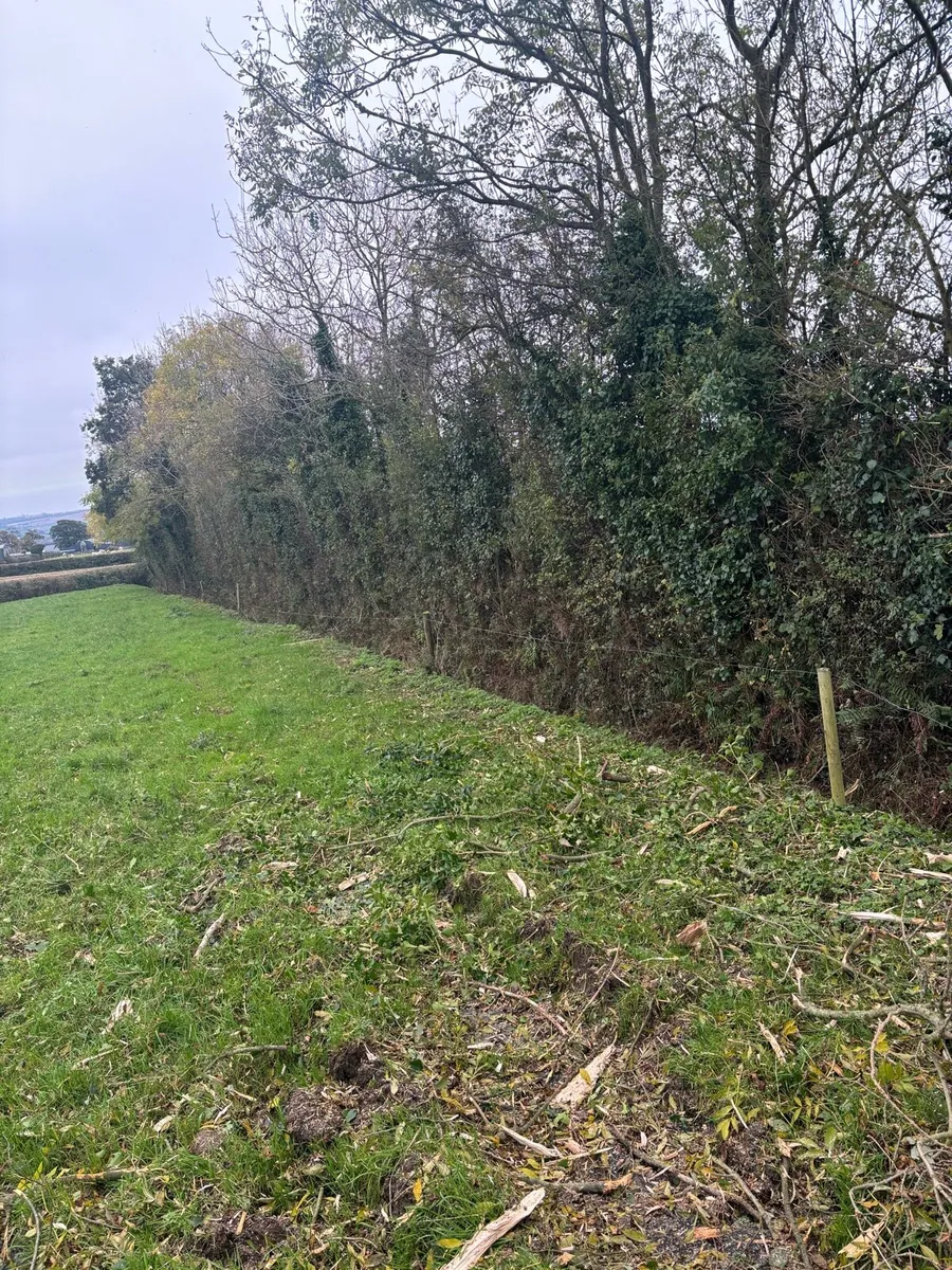Mulcher and Tree Shears - Image 3