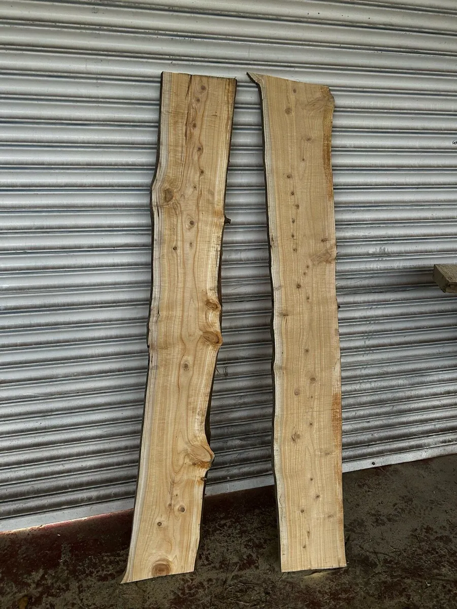 Live edge slabs / boards for furniture/ benches et - Image 1