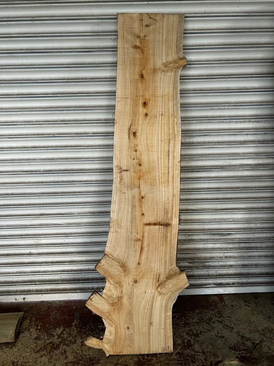Live edge slabs / boards for furniture/ benches et - Image 2