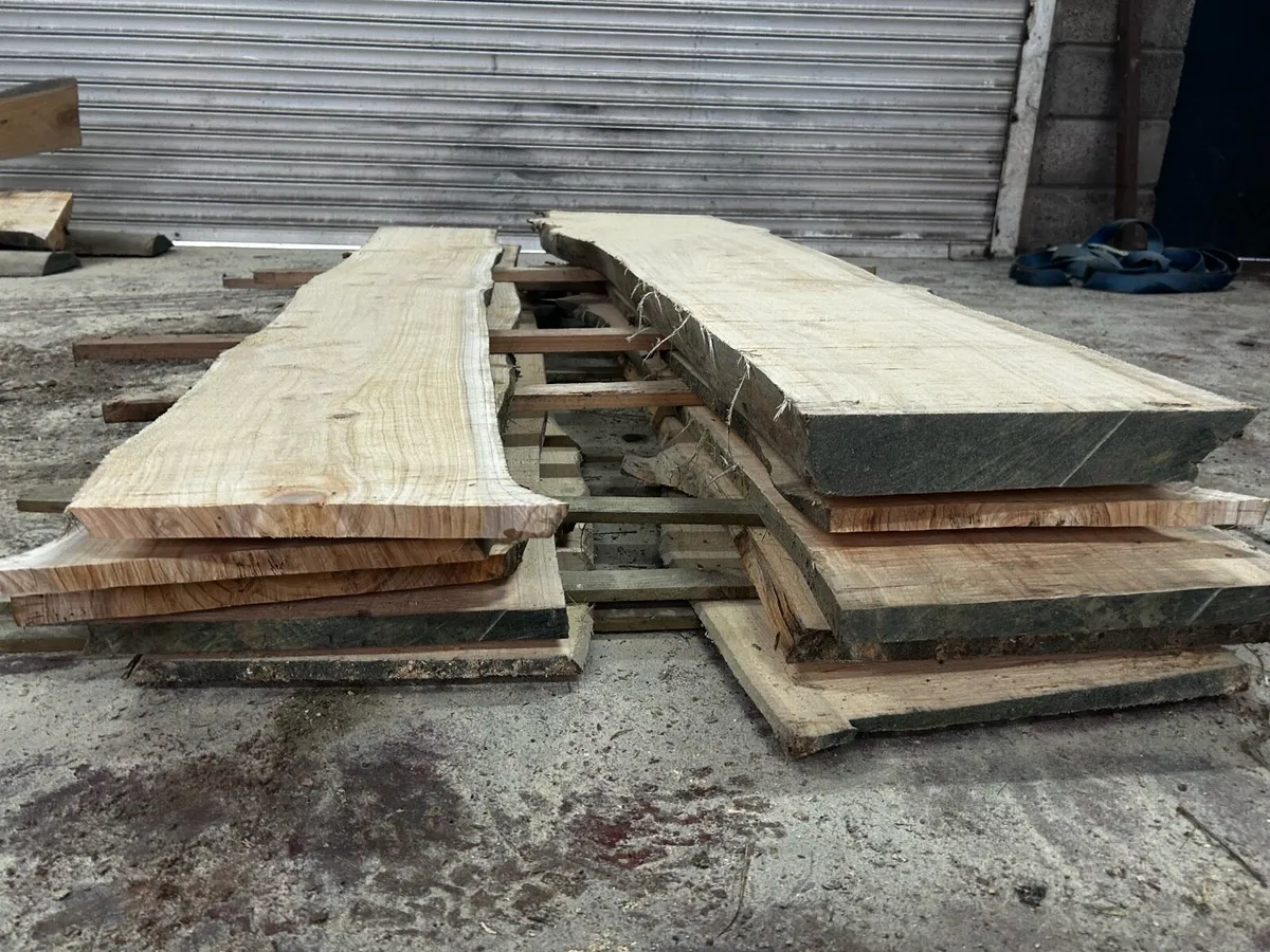 Live edge slabs / boards for furniture/ benches et - Image 3