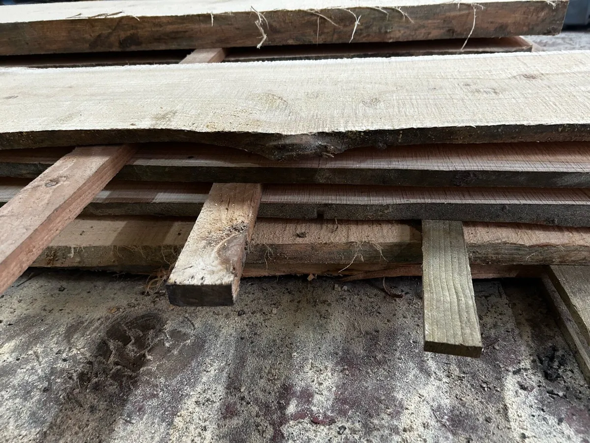 Live edge slabs / boards for furniture/ benches et - Image 4
