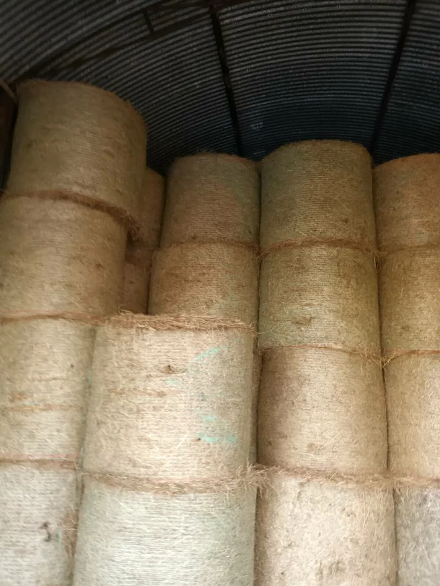 Hay - Image 3